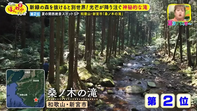 日本关西夏日拍照别把行程排错！风铃、镜面海和40万朵向日葵，都在拼时间！
