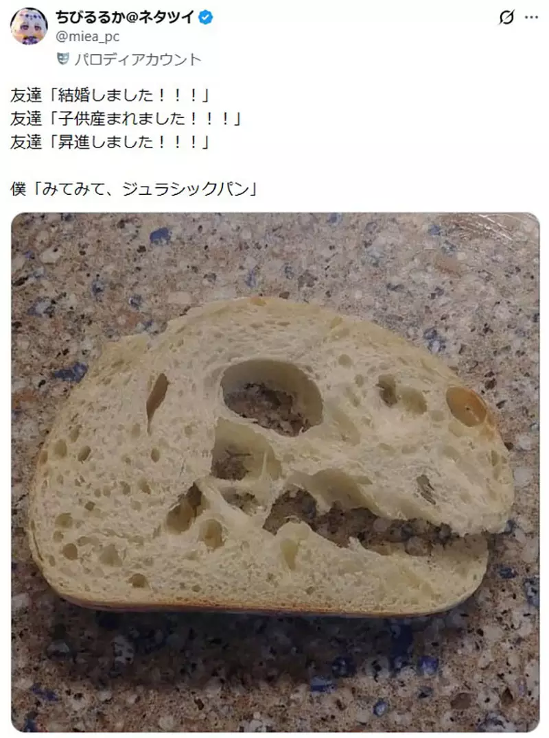 日本网友议论“朋友都在升级人生”，我却想炫耀一颗巨型菊石！成年人别被进度条绑架！