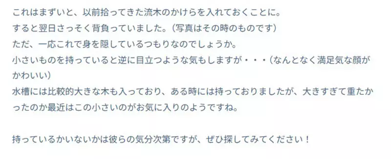日本葛西临海水族园的日本拟人面蟹火了!它举海星不是卖萌,而是在拼命藏住自己! 日本葛西临海水族园的日本拟人面蟹火了!它举海星不是卖萌,而是在拼命藏住自己!
