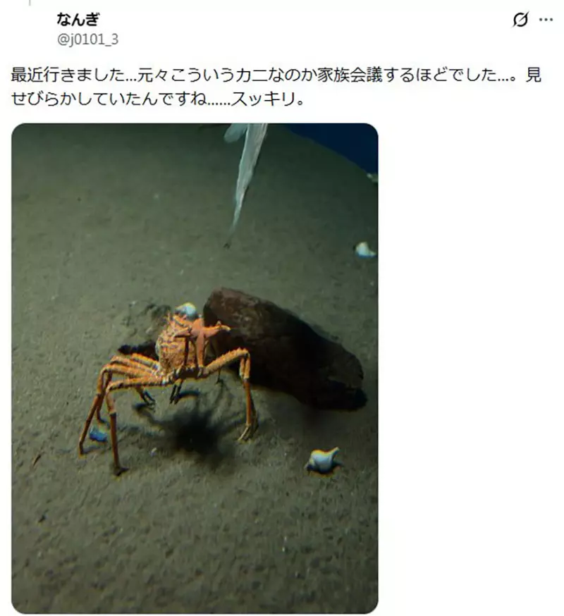 日本葛西临海水族园的日本拟人面蟹火了!它举海星不是卖萌,而是在拼命藏住自己! 日本葛西临海水族园的日本拟人面蟹火了!它举海星不是卖萌,而是在拼命藏住自己!