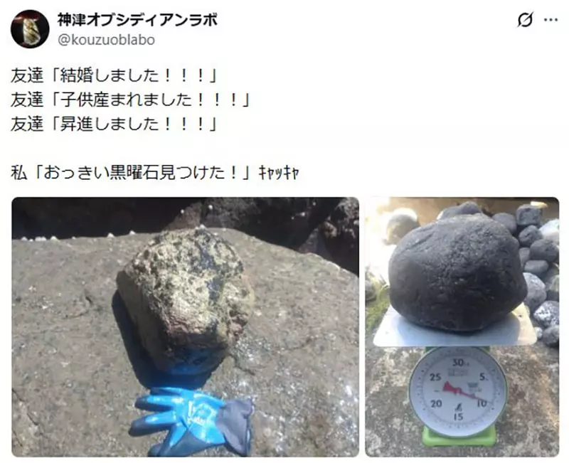 日本网友议论“朋友都在升级人生”，我却想炫耀一颗巨型菊石！成年人别被进度条绑架！