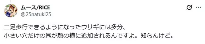 别急着纠正米菲兔的耳环！真正高级的联名，偏要留一点不讲道理的可爱！