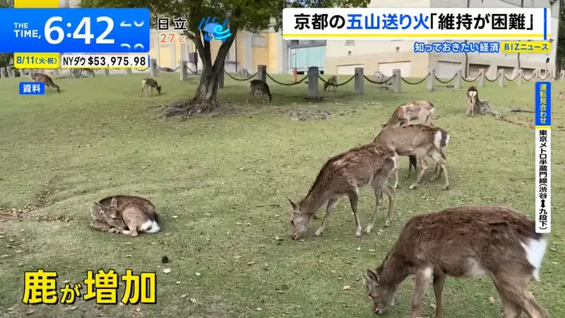 日本京都五山送火首次众筹：游客看到的是大字，山上扛着的是一整年的成本