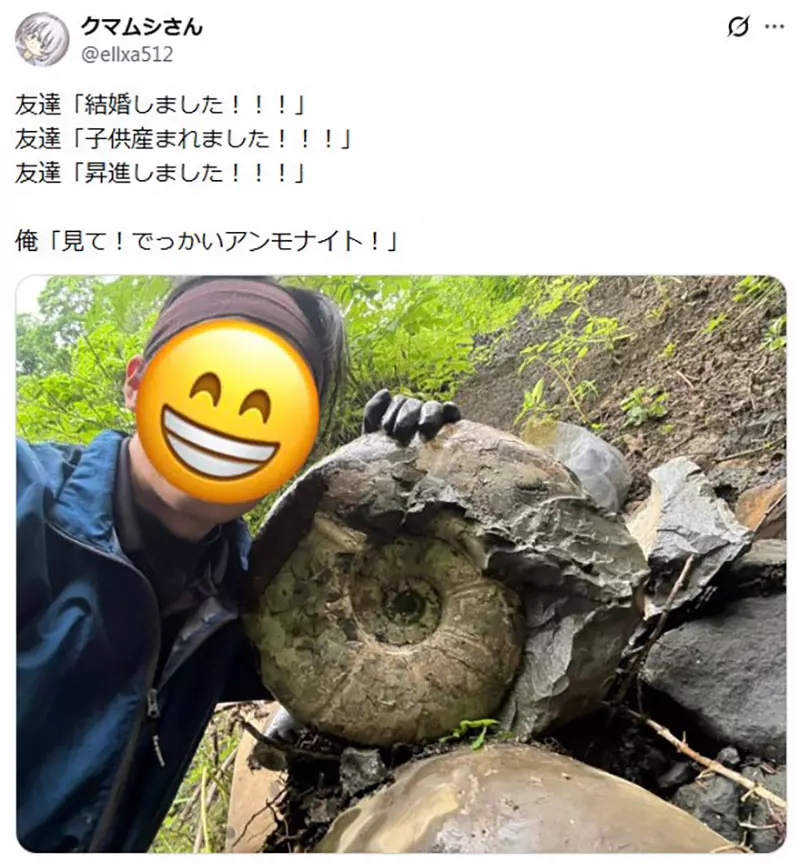 日本网友议论“朋友都在升级人生”，我却想炫耀一颗巨型菊石！成年人别被进度条绑架！