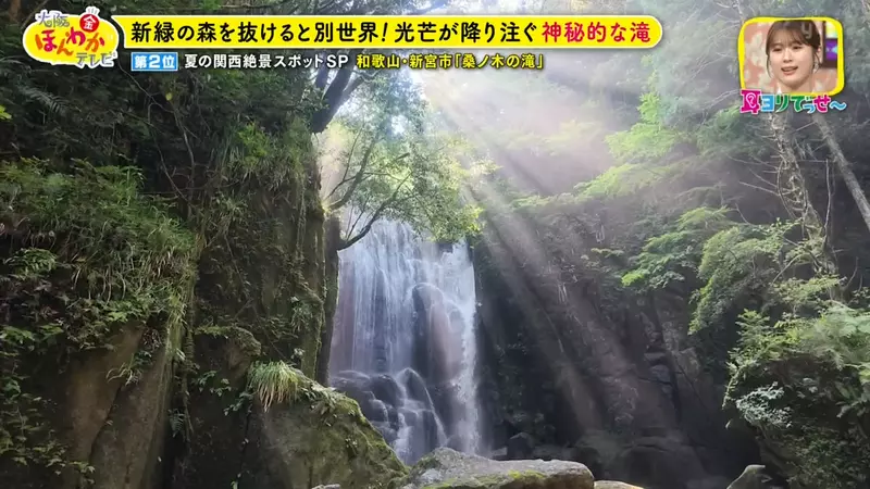 日本关西夏日拍照别把行程排错！风铃、镜面海和40万朵向日葵，都在拼时间！