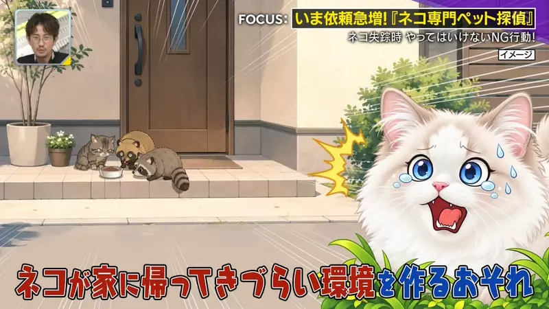 日本寻猫侦探揭开走失真相!门外一碗猫粮,可能让受惊爱猫不敢回家,别好心办坏事! 日本寻猫侦探揭开走失真相!门外一碗猫粮,可能让受惊爱猫不敢回家,别好心办坏事!
