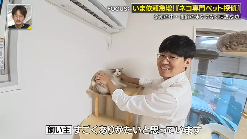 日本寻猫侦探揭开走失真相!门外一碗猫粮,可能让受惊爱猫不敢回家,别好心办坏事! 日本寻猫侦探揭开走失真相!门外一碗猫粮,可能让受惊爱猫不敢回家,别好心办坏事!