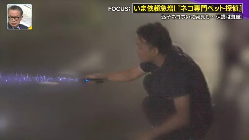 日本寻猫侦探揭开走失真相!门外一碗猫粮,可能让受惊爱猫不敢回家,别好心办坏事! 日本寻猫侦探揭开走失真相!门外一碗猫粮,可能让受惊爱猫不敢回家,别好心办坏事!