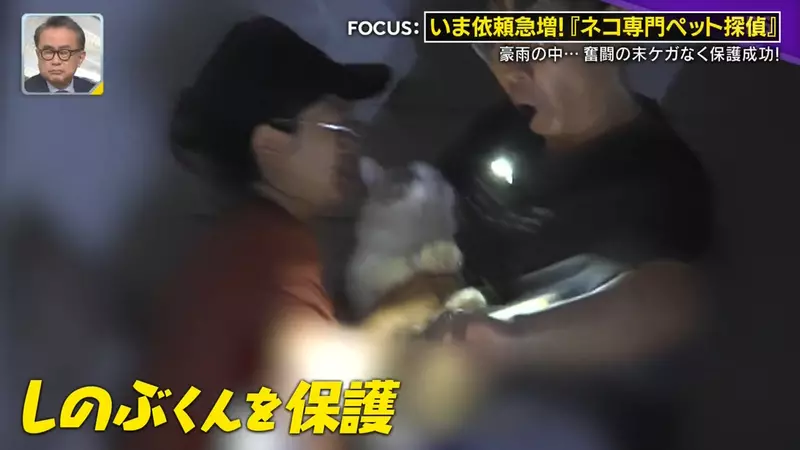 日本寻猫侦探揭开走失真相!门外一碗猫粮,可能让受惊爱猫不敢回家,别好心办坏事! 日本寻猫侦探揭开走失真相!门外一碗猫粮,可能让受惊爱猫不敢回家,别好心办坏事!