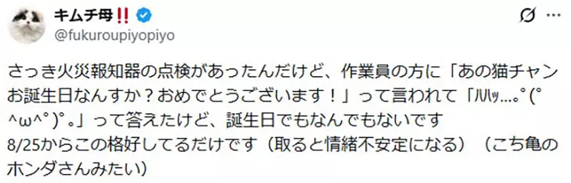 日本饲主分享“猫咪把生日过成日常”！寿星帽戴三周不肯摘，连工作人员都以为它天天庆生！