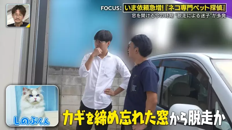 日本寻猫侦探揭开走失真相!门外一碗猫粮,可能让受惊爱猫不敢回家,别好心办坏事! 日本寻猫侦探揭开走失真相!门外一碗猫粮,可能让受惊爱猫不敢回家,别好心办坏事!