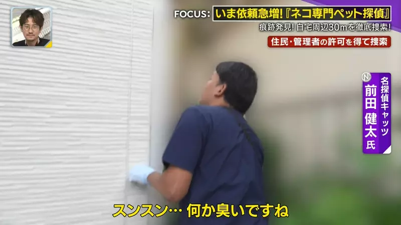日本寻猫侦探揭开走失真相!门外一碗猫粮,可能让受惊爱猫不敢回家,别好心办坏事! 日本寻猫侦探揭开走失真相!门外一碗猫粮,可能让受惊爱猫不敢回家,别好心办坏事!