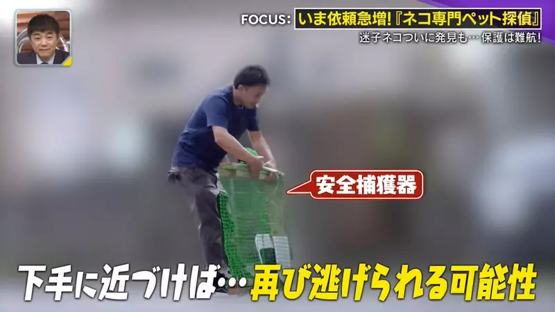 日本寻猫侦探揭开走失真相!门外一碗猫粮,可能让受惊爱猫不敢回家,别好心办坏事! 日本寻猫侦探揭开走失真相!门外一碗猫粮,可能让受惊爱猫不敢回家,别好心办坏事!