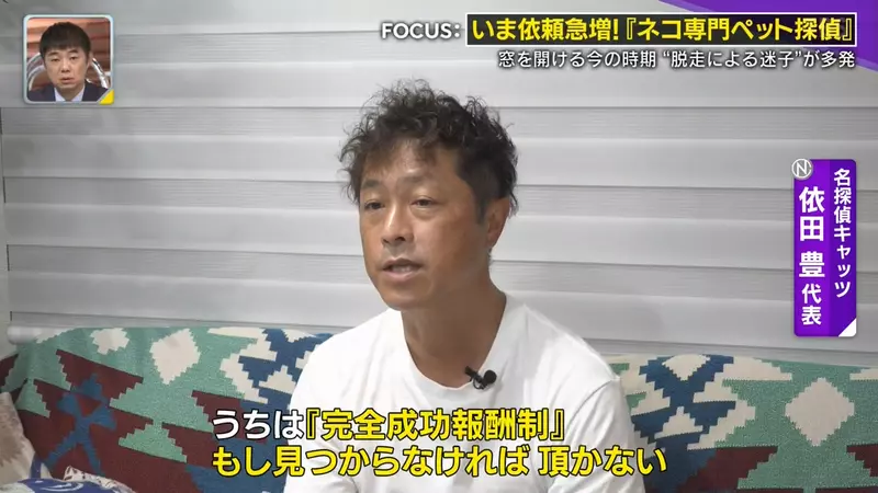 日本寻猫侦探揭开走失真相!门外一碗猫粮,可能让受惊爱猫不敢回家,别好心办坏事! 日本寻猫侦探揭开走失真相!门外一碗猫粮,可能让受惊爱猫不敢回家,别好心办坏事!