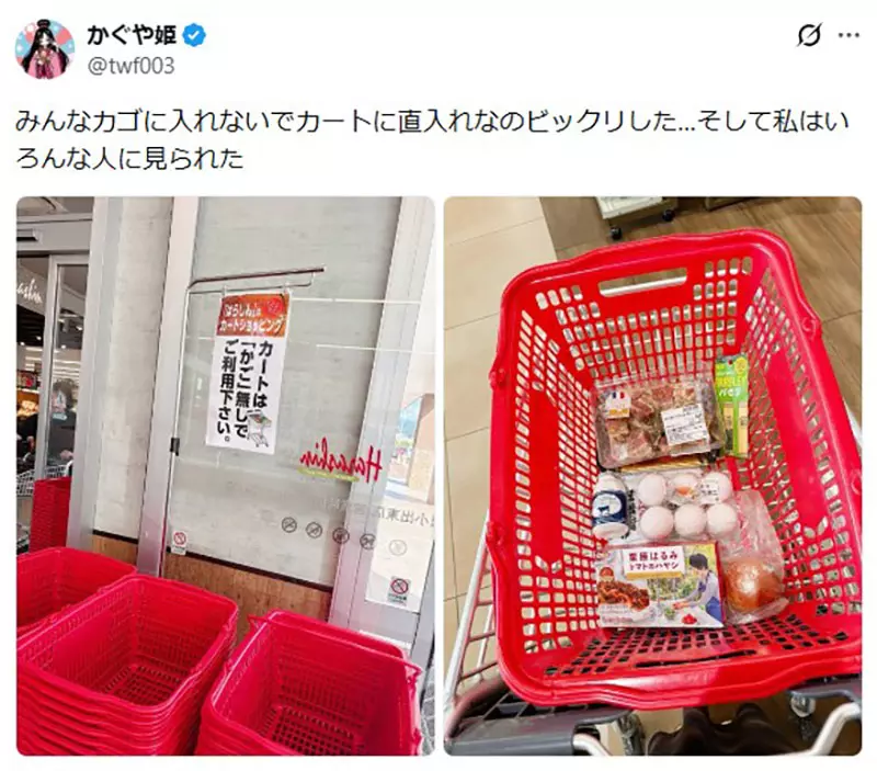 日本网友议论“超市为何不让购物车放提篮”!看懂结账动线后,才发现我们都习惯了多余的一步! 日本网友议论“超市为何不让购物车放提篮”!看懂结账动线后,才发现我们都习惯了多余的一步!