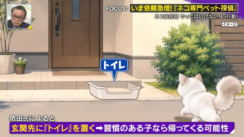日本寻猫侦探揭开走失真相!门外一碗猫粮,可能让受惊爱猫不敢回家,别好心办坏事! 日本寻猫侦探揭开走失真相!门外一碗猫粮,可能让受惊爱猫不敢回家,别好心办坏事!