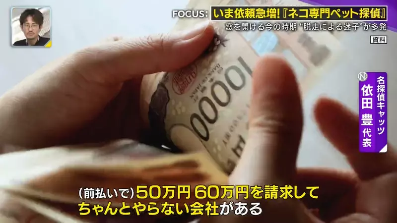 日本寻猫侦探揭开走失真相!门外一碗猫粮,可能让受惊爱猫不敢回家,别好心办坏事! 日本寻猫侦探揭开走失真相!门外一碗猫粮,可能让受惊爱猫不敢回家,别好心办坏事!