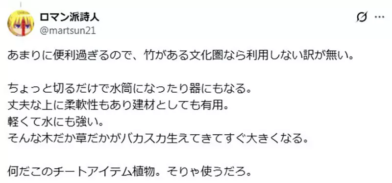 日本网友议论“为什么竹子比魔法更容易让人出戏”!《勇者斗恶龙》的竹竿,戳中了西洋奇幻的世界观难题! 日本网友议论“为什么竹子比魔法更容易让人出戏”!《勇者斗恶龙》的竹竿,戳中了西洋奇幻的世界观难题!