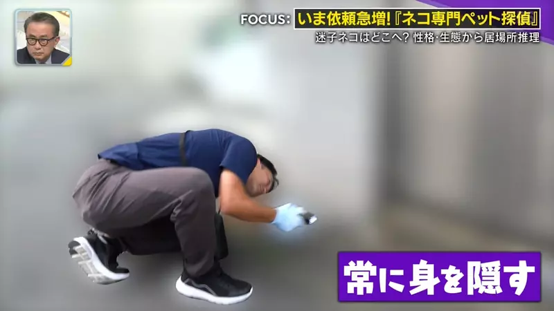 日本寻猫侦探揭开走失真相!门外一碗猫粮,可能让受惊爱猫不敢回家,别好心办坏事! 日本寻猫侦探揭开走失真相!门外一碗猫粮,可能让受惊爱猫不敢回家,别好心办坏事!