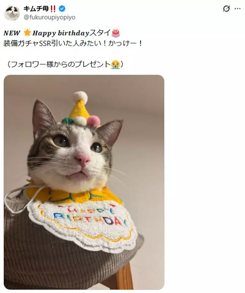 日本饲主分享“猫咪把生日过成日常”！寿星帽戴三周不肯摘，连工作人员都以为它天天庆生！
