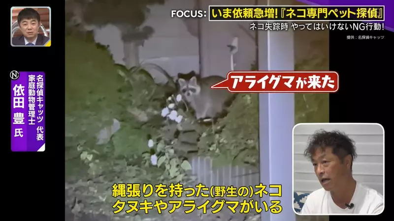日本寻猫侦探揭开走失真相!门外一碗猫粮,可能让受惊爱猫不敢回家,别好心办坏事! 日本寻猫侦探揭开走失真相!门外一碗猫粮,可能让受惊爱猫不敢回家,别好心办坏事!