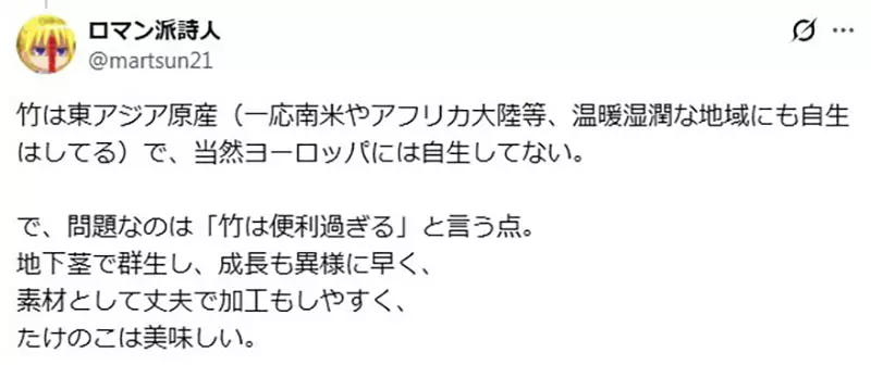 日本网友议论“为什么竹子比魔法更容易让人出戏”!《勇者斗恶龙》的竹竿,戳中了西洋奇幻的世界观难题! 日本网友议论“为什么竹子比魔法更容易让人出戏”!《勇者斗恶龙》的竹竿,戳中了西洋奇幻的世界观难题!