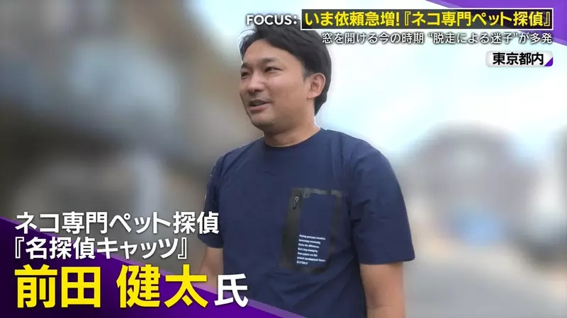日本寻猫侦探揭开走失真相!门外一碗猫粮,可能让受惊爱猫不敢回家,别好心办坏事! 日本寻猫侦探揭开走失真相!门外一碗猫粮,可能让受惊爱猫不敢回家,别好心办坏事!