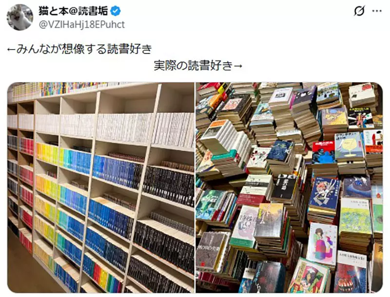 书房乱就不算爱读书？《爱读书的人》藏书对比图引热议，日本网友把囤书焦虑说透了