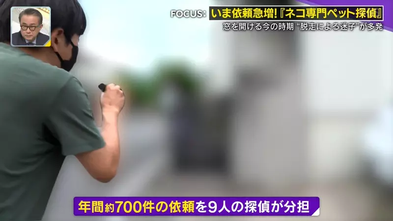 日本寻猫侦探揭开走失真相!门外一碗猫粮,可能让受惊爱猫不敢回家,别好心办坏事! 日本寻猫侦探揭开走失真相!门外一碗猫粮,可能让受惊爱猫不敢回家,别好心办坏事!