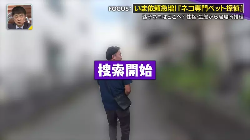 日本寻猫侦探揭开走失真相!门外一碗猫粮,可能让受惊爱猫不敢回家,别好心办坏事! 日本寻猫侦探揭开走失真相!门外一碗猫粮,可能让受惊爱猫不敢回家,别好心办坏事!