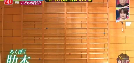 日本小学生只知道肋木架能爬，却不知道它曾是体育课的主角！一件旧器材的尴尬转身！ - 奇趣星球报