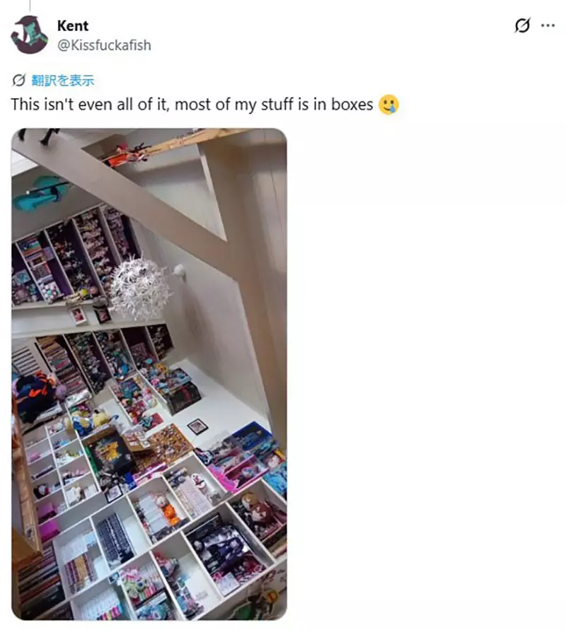 周边摆满房间就得让客人尴尬?《宅宅的梦想房间》让我看见,爱好不必向外人交代! 周边摆满房间就得让客人尴尬?《宅宅的梦想房间》让我看见,爱好不必向外人交代!
