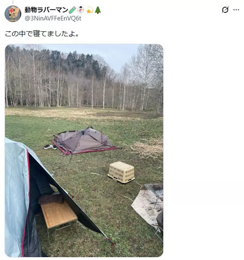 【】 【】