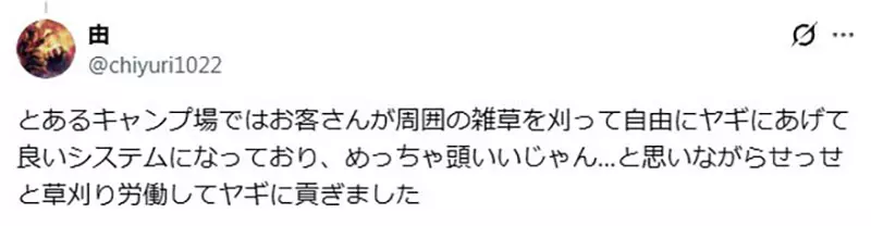 以为养只山羊就能躺着除草？日本饲主画出理想与现实，结果自己忙着割草伺候它
