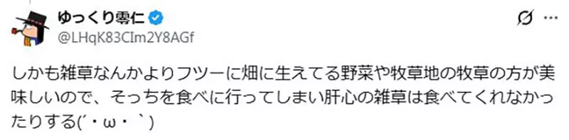 以为养只山羊就能躺着除草？日本饲主画出理想与现实，结果自己忙着割草伺候它