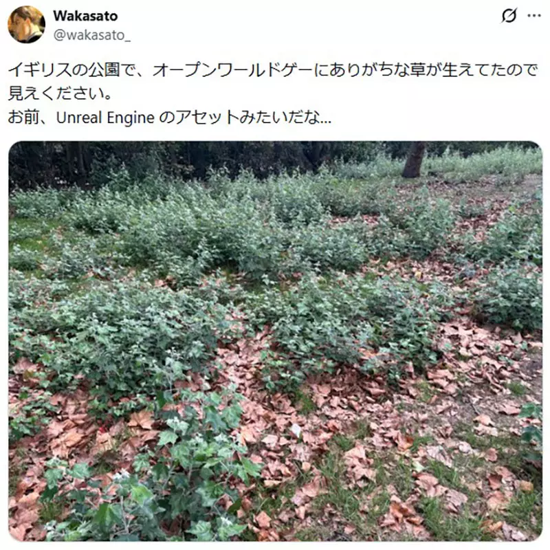 漫画家在英国认出开放世界游戏里的草,为什么《巫师3》玩家会为这片绿地感动 漫画家在英国认出开放世界游戏里的草,为什么《巫师3》玩家会为这片绿地感动