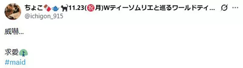 女仆提起裙摆竟是在威吓?日本网友把优雅姿势玩成晒装接力,连多人合照都安排上了! 女仆提起裙摆竟是在威吓?日本网友把优雅姿势玩成晒装接力,连多人合照都安排上了!