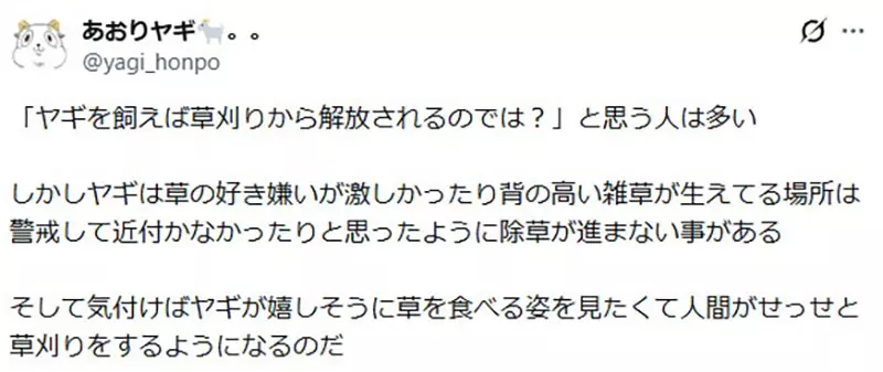 以为养只山羊就能躺着除草？日本饲主画出理想与现实，结果自己忙着割草伺候它