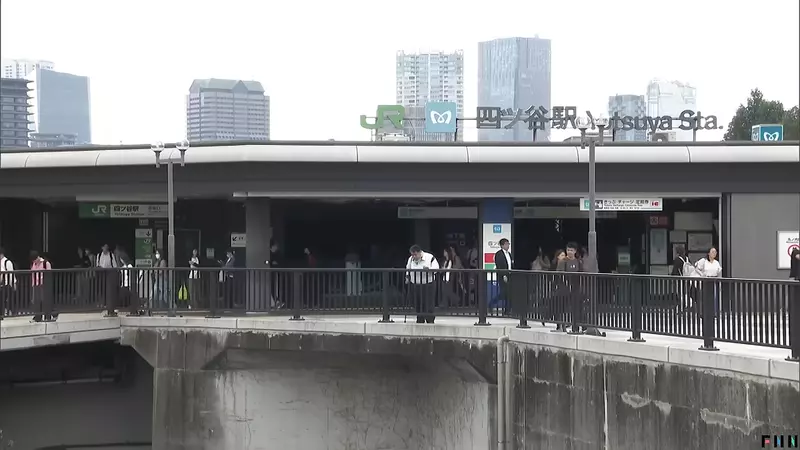 早高峰路人纷纷停下拍照，东京四谷站前两只山羊正在吃草，意外成了通勤小惊喜