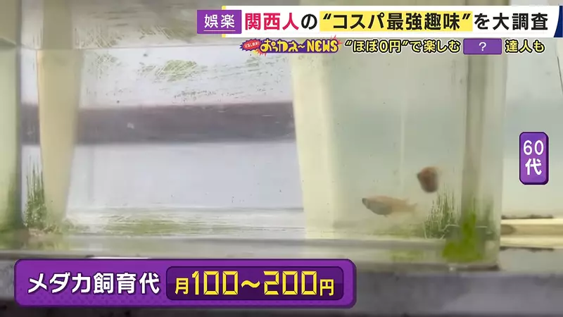 日本64岁山田英子抽奖50年,多时每月中10到15次,她却劝大家别为奖品多花钱 日本64岁山田英子抽奖50年,多时每月中10到15次,她却劝大家别为奖品多花钱