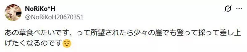 以为养只山羊就能躺着除草？日本饲主画出理想与现实，结果自己忙着割草伺候它