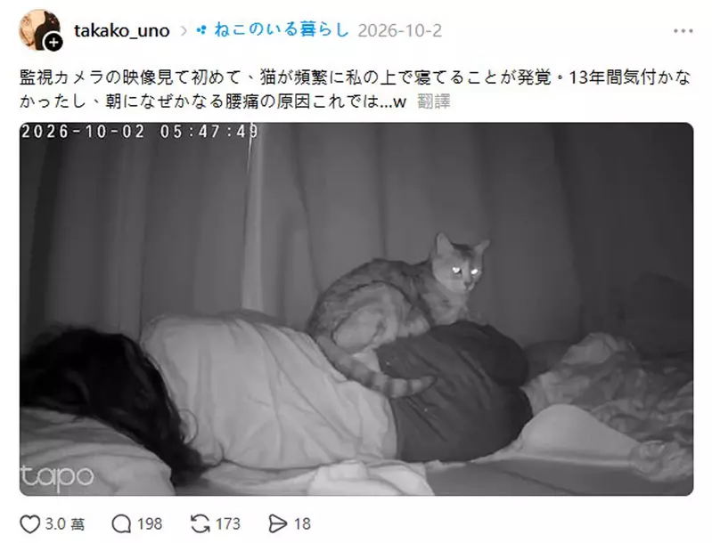 装上监控才发现猫咪的睡觉习惯，主人 13 年没察觉，还怀疑晨起腰痛与此有关