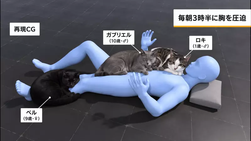 日本网友议论“装上监控才发现猫咪的睡觉习惯”！主人竟 13 年没察觉，还怀疑晨起腰痛与此有关！ - 奇趣星球报 - 奇趣星球报