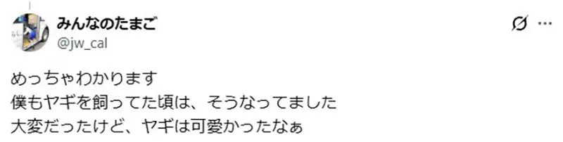 以为养只山羊就能躺着除草？日本饲主画出理想与现实，结果自己忙着割草伺候它