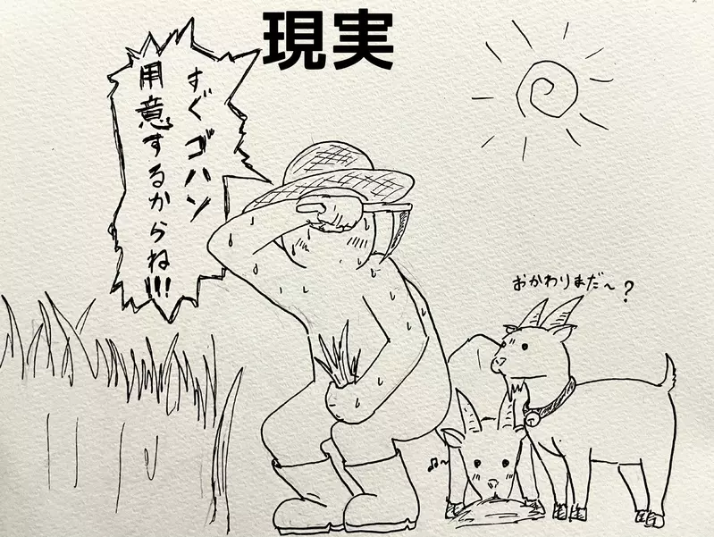 以为养只山羊就能躺着除草？日本饲主画出理想与现实，结果自己忙着割草伺候它