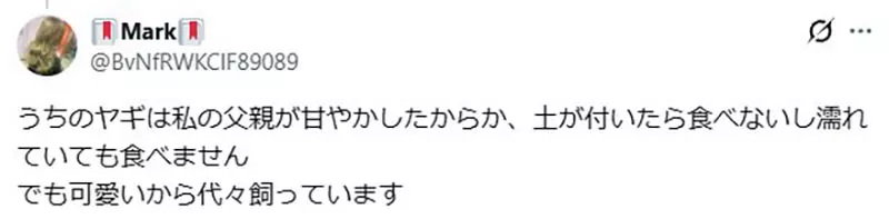 以为养只山羊就能躺着除草？日本饲主画出理想与现实，结果自己忙着割草伺候它