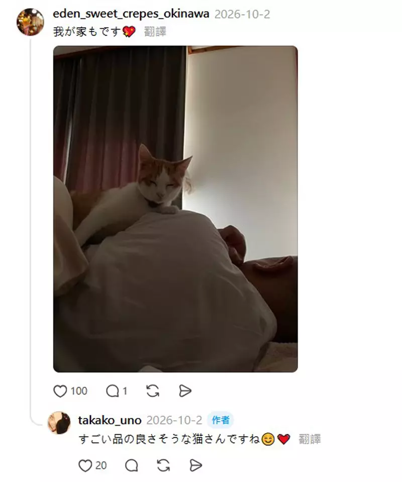 装上监控才发现猫咪的睡觉习惯，主人 13 年没察觉，还怀疑晨起腰痛与此有关