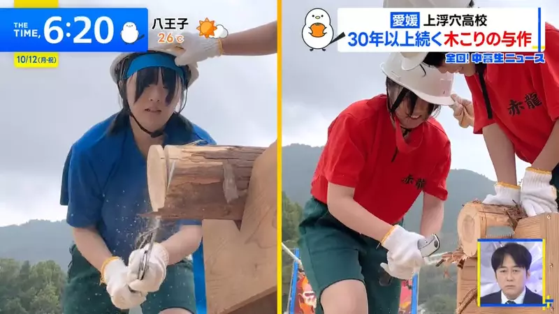 运动会上竟比锯木头?日本高中延续30多年的特色项目,女同学首次组队参赛就上演逆转! 运动会上竟比锯木头?日本高中延续30多年的特色项目,女同学首次组队参赛就上演逆转!