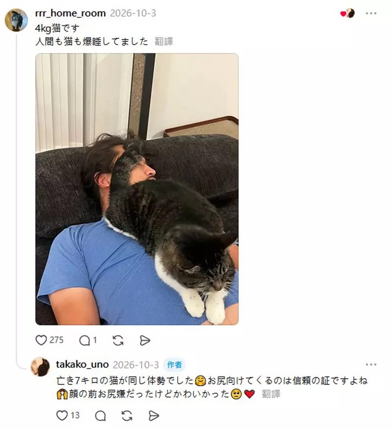 装上监控才发现猫咪的睡觉习惯，主人 13 年没察觉，还怀疑晨起腰痛与此有关